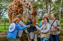 Nairobi Airport Layover to City Highlight and Giraffe Centre Tour