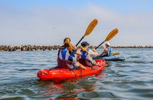 Mola Mola Kayaking Experience