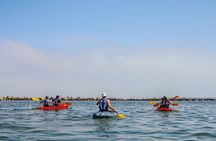 Mola Mola Kayaking Combo with Beach Braai
