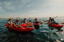 Mola Mola Kayaking Combo with Beach Braai