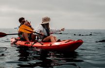 Mola Mola Kayaking Combo with Beach Braai
