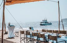 Mola Mola Marine Dolphin Cruise & Beach Braai on Pelican Point