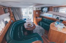 Luxury Trollfjord Cruise with Eagles Safari in Svolvær Lofoten