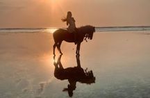 Gili Trawangan Beach Horseback Riding with Pickup Hotel