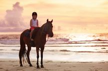 Gili Trawangan Beach Horseback Riding with Pickup Hotel