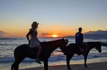 Gili Trawangan Beach Horseback Riding with Pickup Hotel