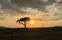 Amboseli day trip with pick up