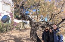 From Barcelona Tossa de Mar Half Day Tour