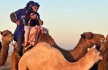 Camel Ride at Sunrise with Breakfast in Agafay Desert 