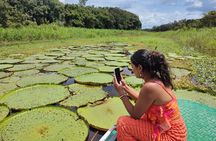 Exploring the Amazon by Boat with Sunset and Wildlife Observation