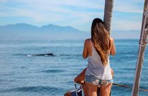 Ultimate Whale Watching Experience All-Inclusive