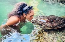 Mnemba Island, Baraka Aquarium and Sunset Cruise Full Day Tour