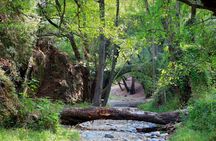 Beauty, Nature and Charm of Troodos Mountains from Paphos
