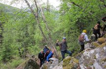 Skagway Adventure Hike