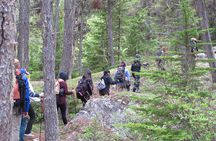 Skagway Adventure Hike