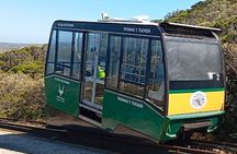 Full Day Cape Peninsula, Bo Kaap & Penguins Small Group Tour
