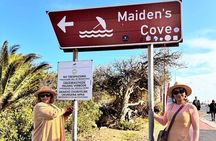 Full Day Cape Peninsula, Bo Kaap & Penguins Small Group Tour
