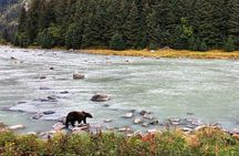 Haines Wildlife Safari