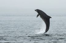 Indian River Lagoon Preserve Kayak Tour