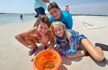 Indian River Lagoon Preserve Kayak Tour