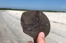 Indian River Lagoon Preserve Kayak Tour