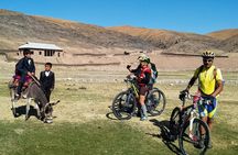11 Days Uzbekistan Bicycle Tour
