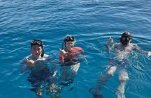 Turtle Canyon Snorkel Tour - Semi-private: 6 passenger max