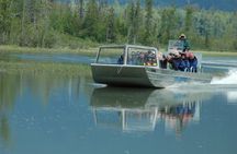 Chilkat River Jet-Boat Adventure in Haines