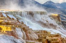 From Bozeman Yellowstone Full Day Tour Upper Loop