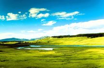 From Bozeman Yellowstone Full Day Tour Upper Loop