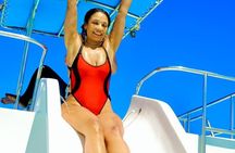 Private Cruise with BBQ - Slide And Open Bar 