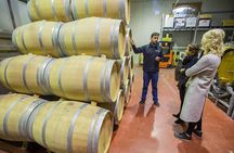 Alicante Winery Small Group Tour with Wine Tasting