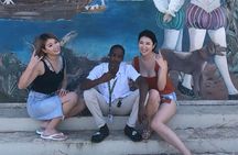 Private Dunn's River Falls and Blue Hole Tour from Montego Bay