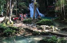 Private Dunn's River Falls and Blue Hole Tour from Montego Bay