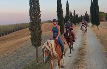 Adventure on horseback in the Tuscan countryside