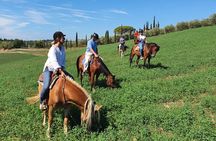 Adventure on horseback in the Tuscan countryside