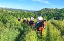 Adventure on horseback in the Tuscan countryside