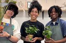 Paint and Plant: The Ultimate Plant Therapy Experience
