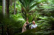 Aboriginal Heritage Walk - Royal Botanic Gardens Victoria, Melbourne Gardens