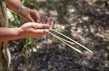 Aboriginal Heritage Walk - Royal Botanic Gardens Victoria, Melbourne Gardens