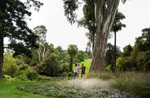 Royal Botanic Gardens Melbourne: Aboriginal Heritage Walk