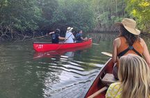 Private Wildlife Canoe Safari in the Mangrove forest.