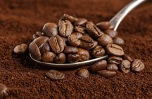 Coffee, Chocolate and Sugarcane Tour La Fortuna