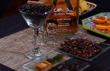 Tequila Tasting & Cocktail Workshop at Tequila Lighthouse - Cabo 