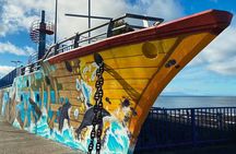 Private Tour of Puerto Montt with Stops 