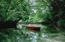 Dazaifu Shrine and Yanagawa River Cruise 1 Day Tour from Fukuoka