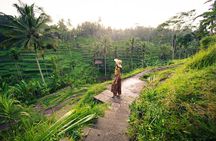 Private Ubud Tour with Monkey Forest and Waterfall