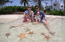 Starfish Point, Stingray City & Coral Garden (3-STOP Adventure)