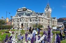 Experience Dunedin and Otago Peninsula Tours For Up To 4 people