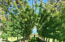 Experience Dunedin and Otago Peninsula Tours For Up To 4 people